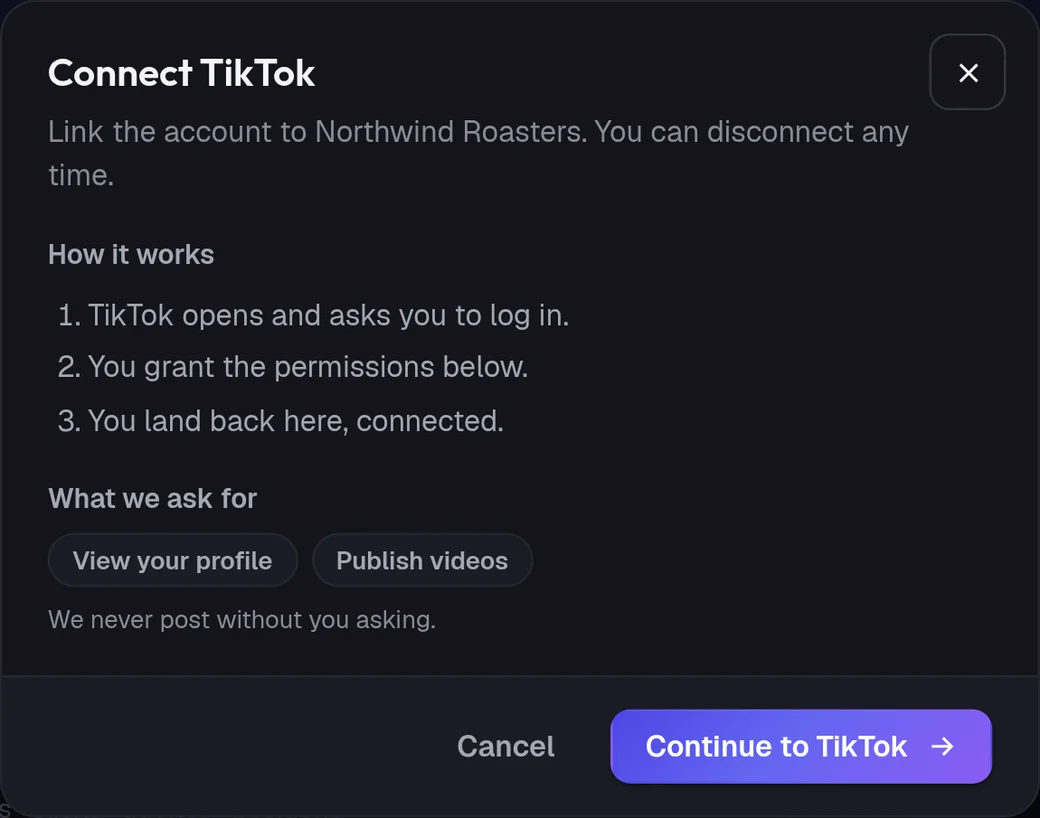 The Connect TikTok window in ADpilot with the steps and the fields it asks for