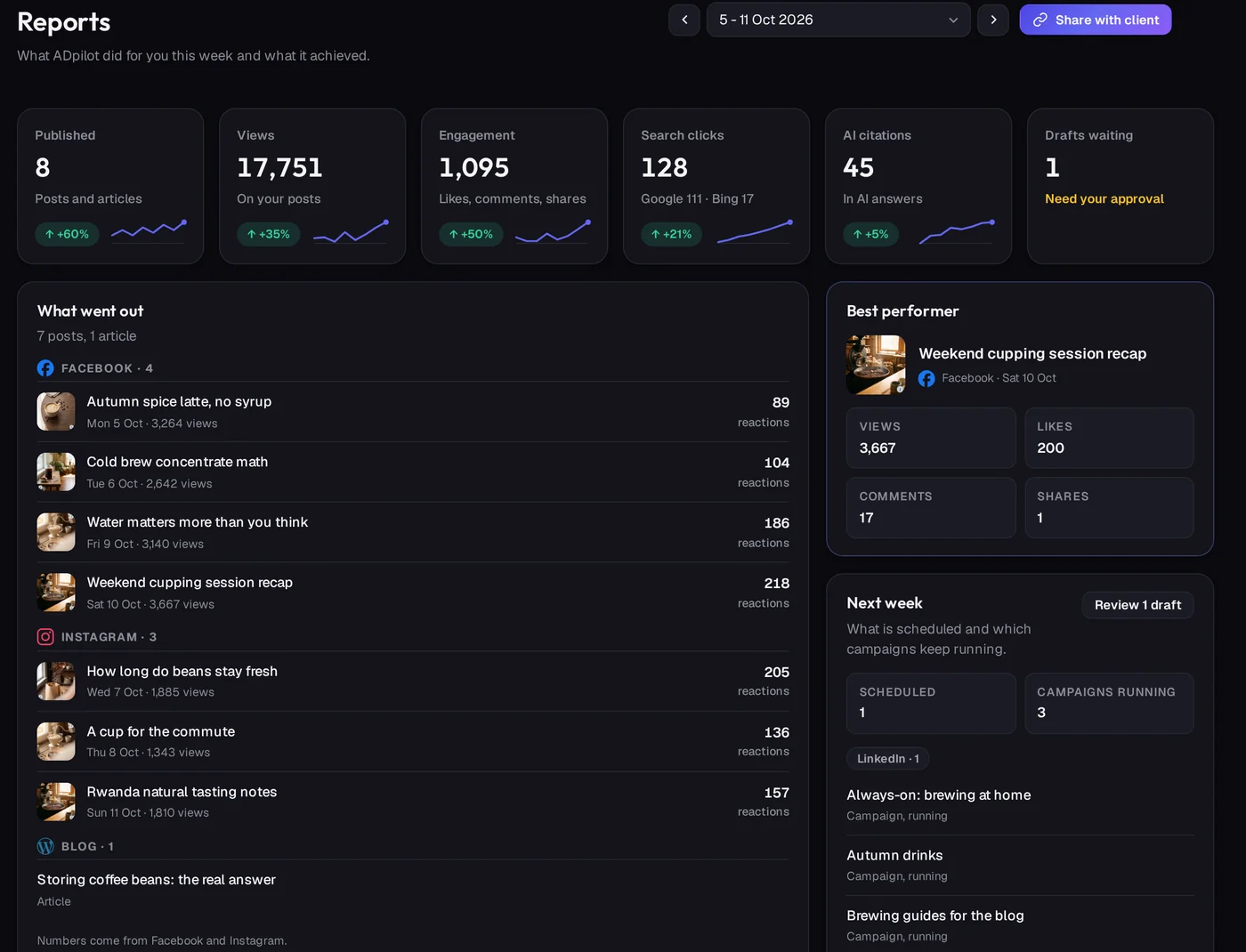 The weekly report in ADpilot: posts published, views, engagement, search clicks and AI citations, with the best performer