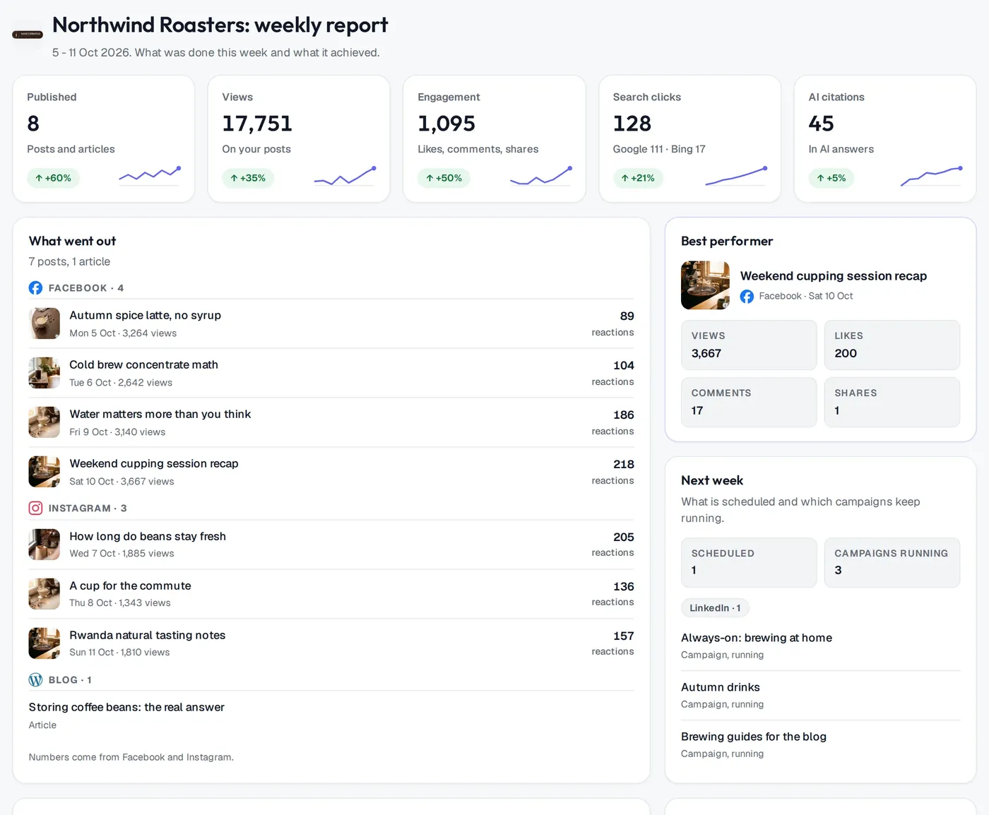 A shared weekly report under the client's brand: posts published, views, engagement, search clicks and AI citations